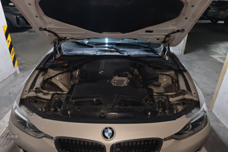 BMW 3 Series 2016 car image #22