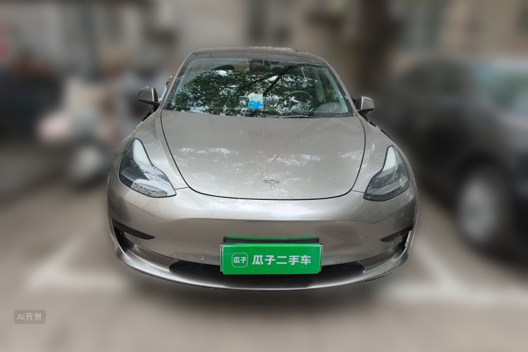 Tesla Model 3 2021 #3 Tesla Model 3 2021 car image #3