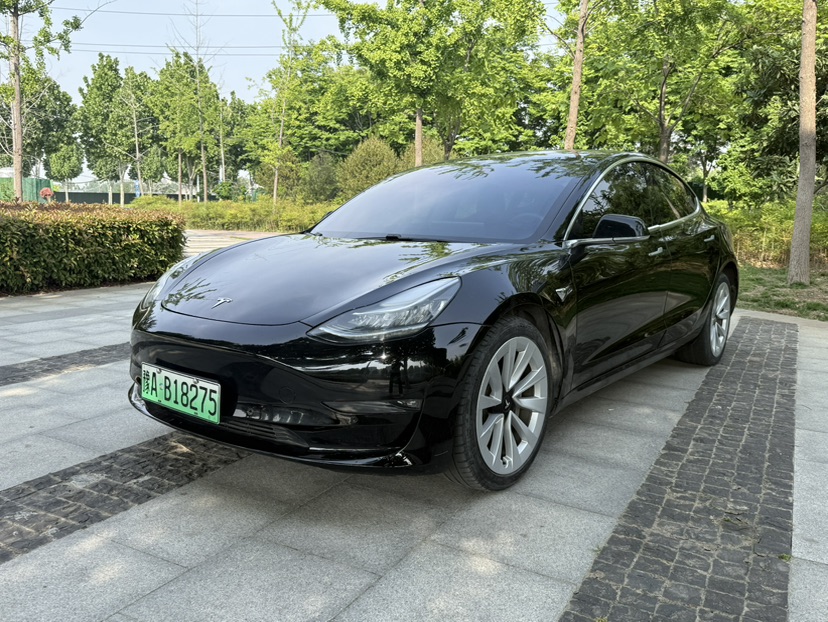 Tesla Model 3 (Imported) 2019 car image 