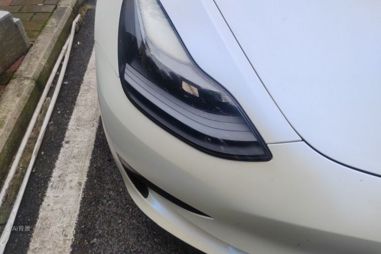 Tesla Model 3 2021 car image #8