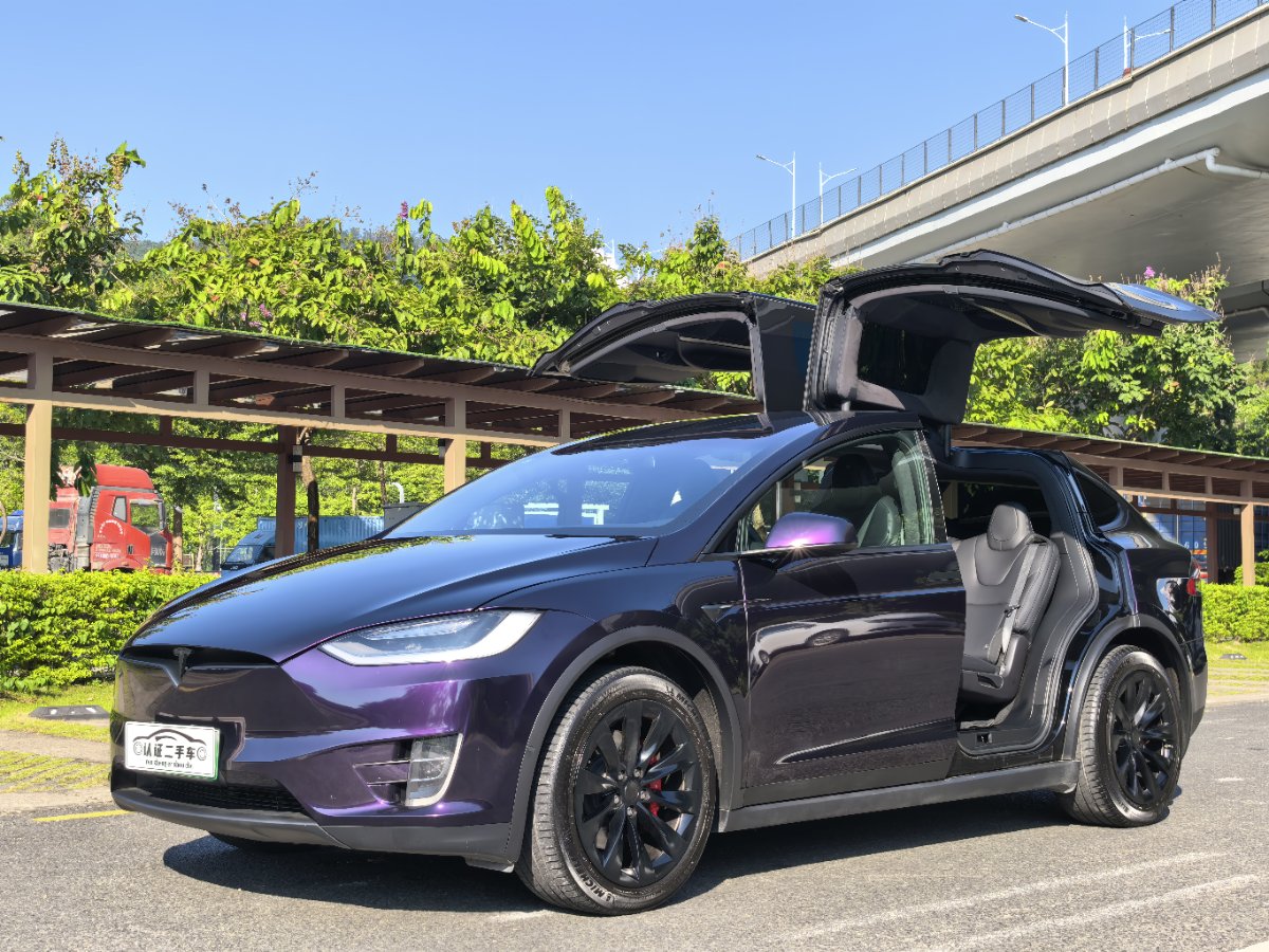 Tesla Model X 2021 car image 