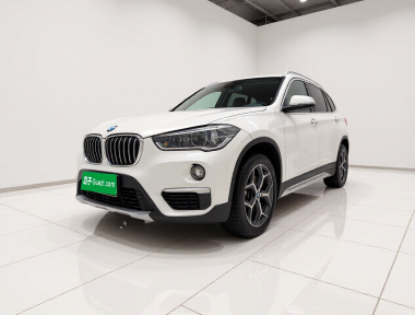 BMW X1 2019 car image 