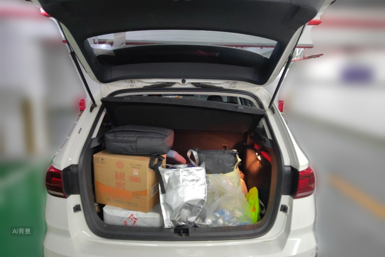 Volkswagen Tharu 2021 car image #21