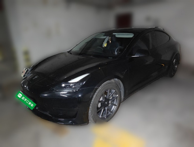 Tesla Model 3 2021 Tesla Model 3 2021 car image