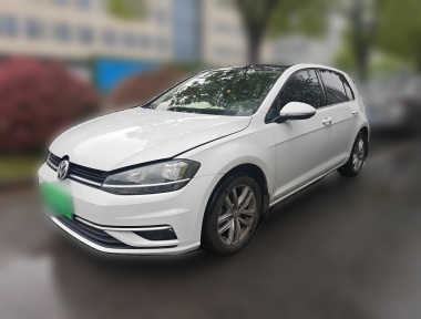 Volkswagen Golf 2019 car image 