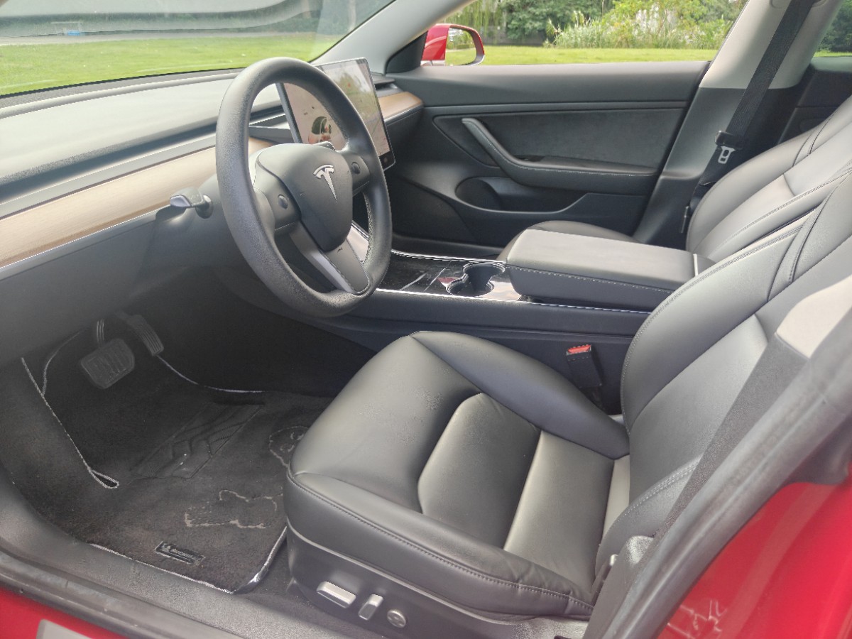 Tesla Model 3 2020 #4 Tesla Model 3 2020 car image #4