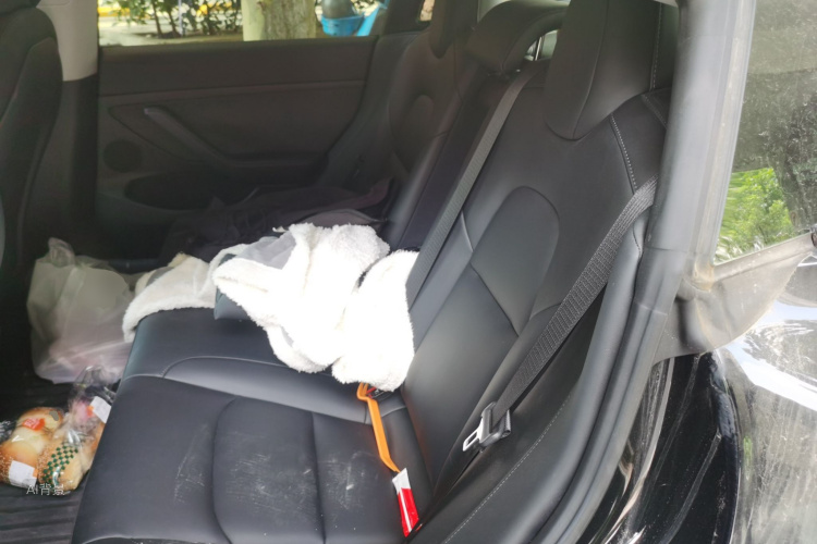 Tesla Model 3 2022 car image #19