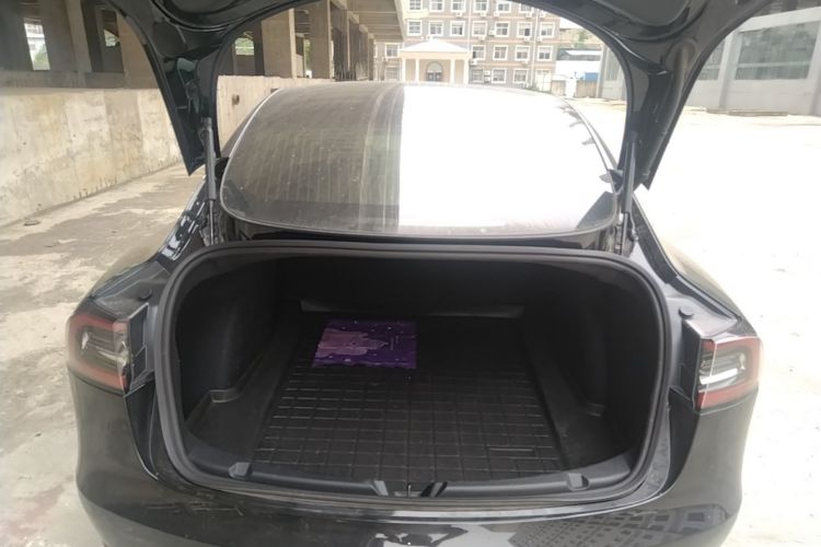 Tesla Model 3 2020 car image #19