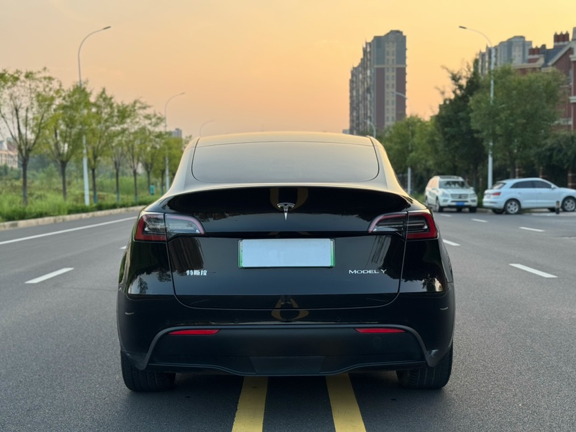 Tesla Model Y 2021 #12 Tesla Model Y 2021 car image #12