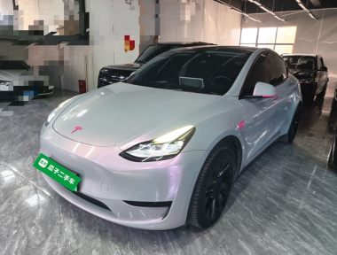 Tesla Model Y 2022 car image 