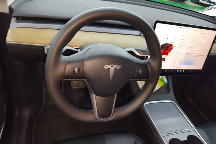 Tesla Model Y 2023 #15 Tesla Model Y 2023 car image #15