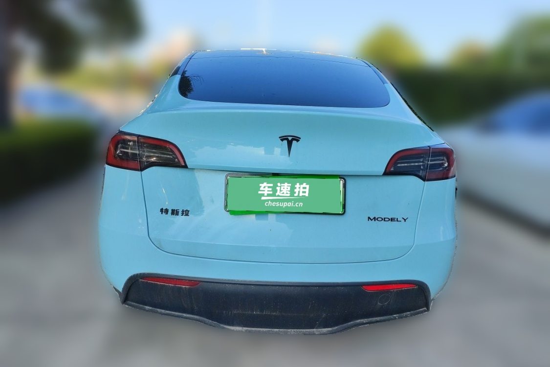 Tesla Model Y 2023 #6 Tesla Model Y 2023 car image #6