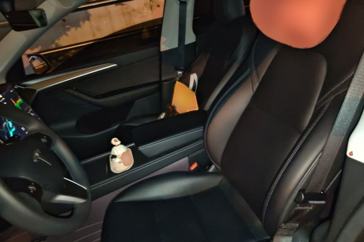 Tesla Model Y 2023 #19 Tesla Model Y 2023 car image #19