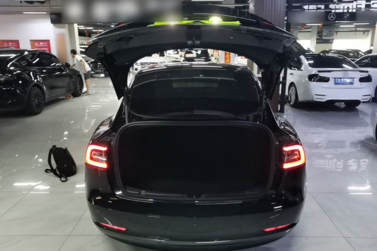 Tesla Model 3 2021 #21 Tesla Model 3 2021 car image #21