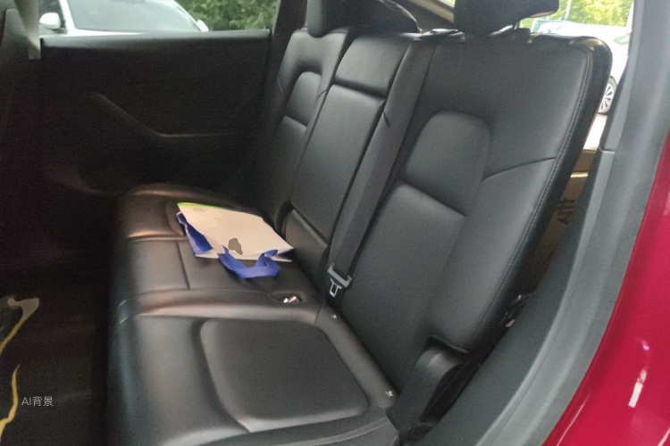 Tesla Model Y 2021 car image #19