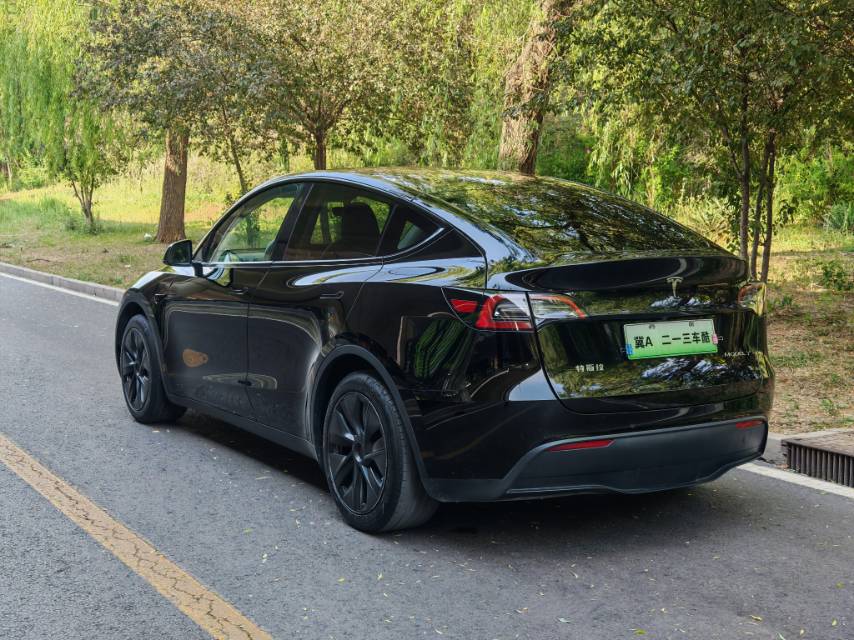 Tesla Model Y 2023 car image #13