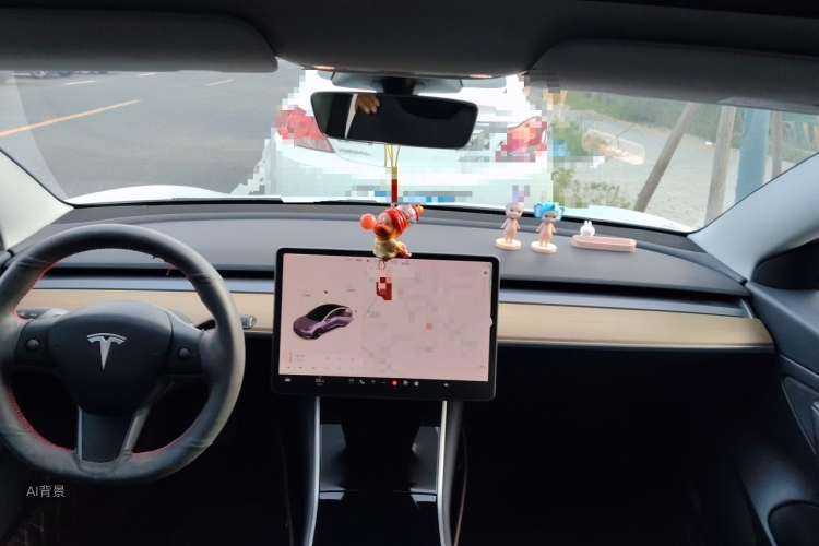 Tesla Model 3 2020 #20 Tesla Model 3 2020 car image #20