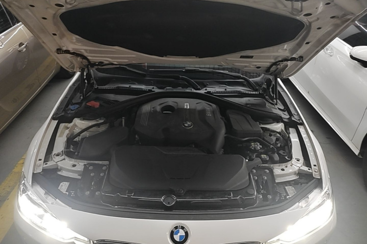 BMW 3 Series 2018 car image #20