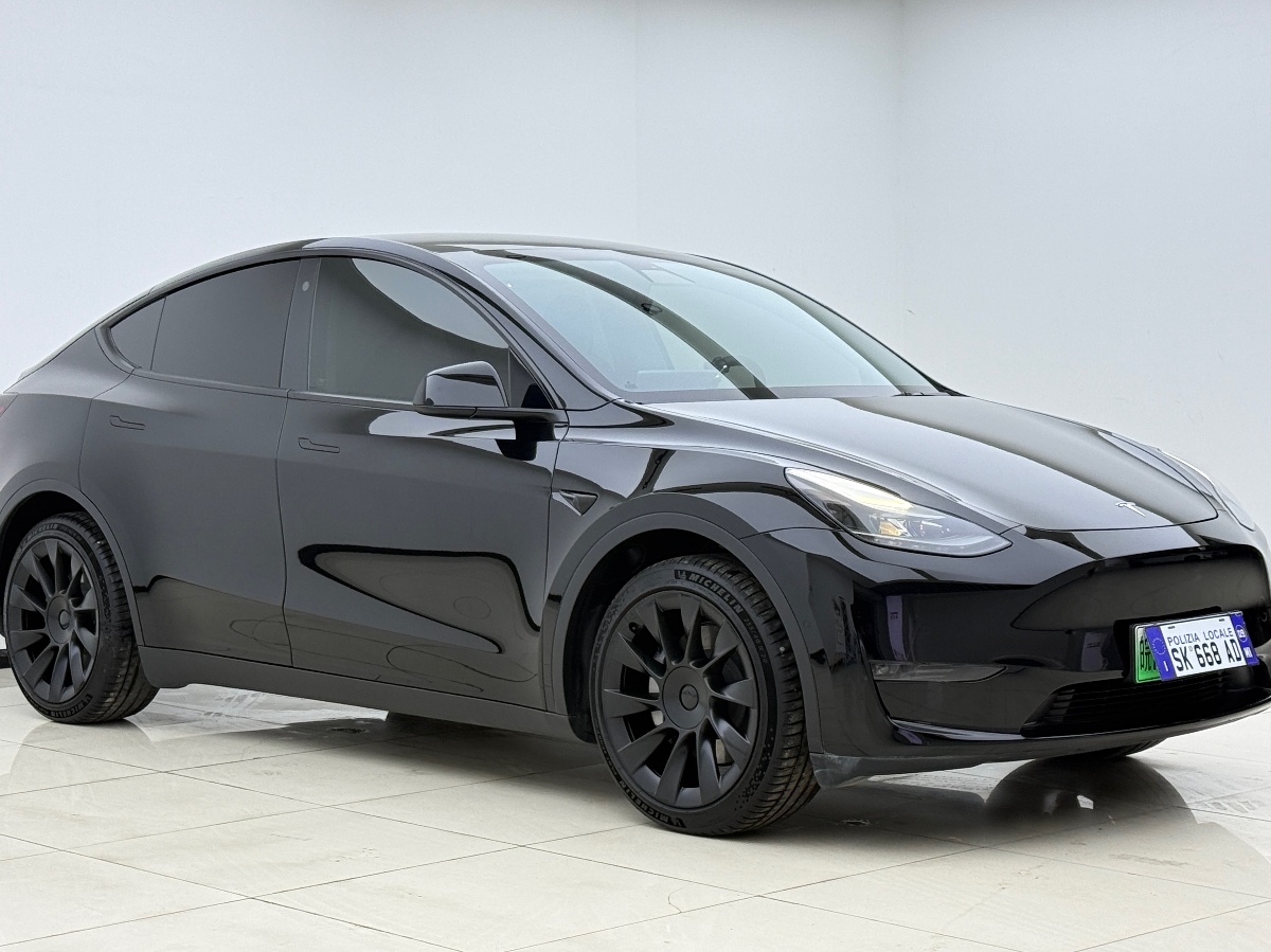 Tesla Model Y 2021 #3 Tesla Model Y 2021 car image #3