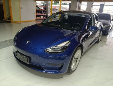 Tesla Model 3 2021 car image 