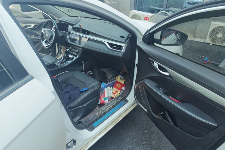 GEELY Emgrand 2020 #21 GEELY Emgrand 2020 car image #21