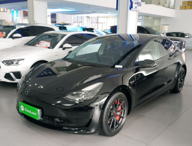 Tesla Model 3 2021 car image 