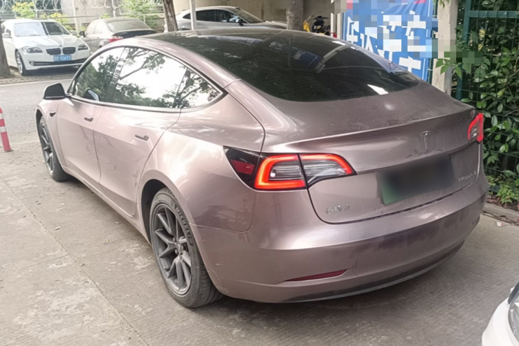 Tesla Model 3 2021 #5 Tesla Model 3 2021 car image #5