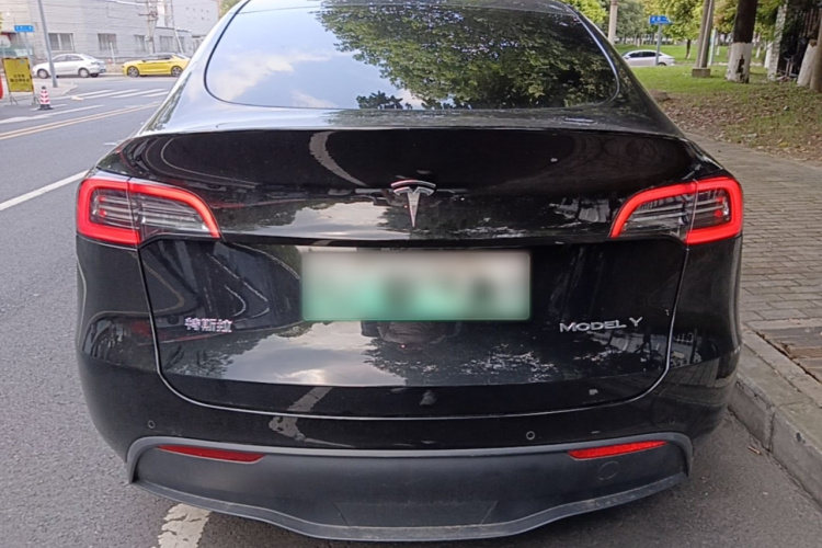 Tesla Model Y 2021 #4 Tesla Model Y 2021 car image #4