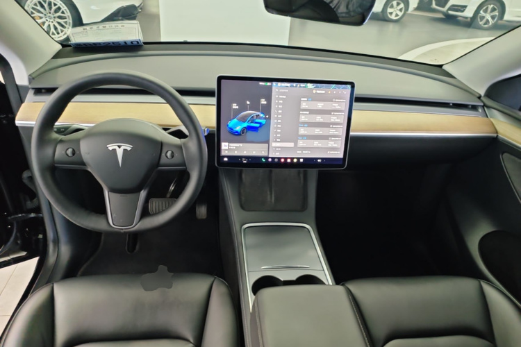 Tesla Model Y 2021 car image #10
