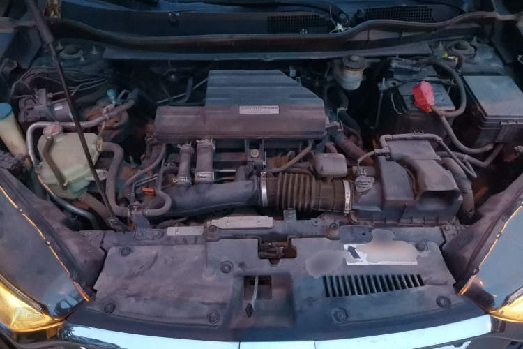 2019 #22 2019 imagen de coche #22