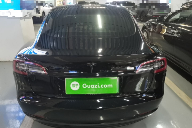 Tesla Model 3 2021 car image #6