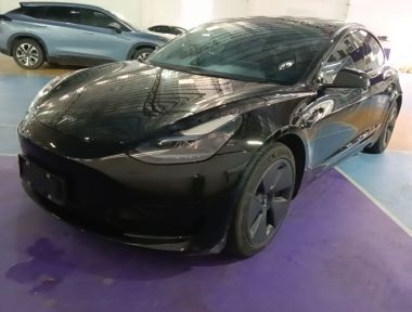 Tesla Model 3 2022 car image 
