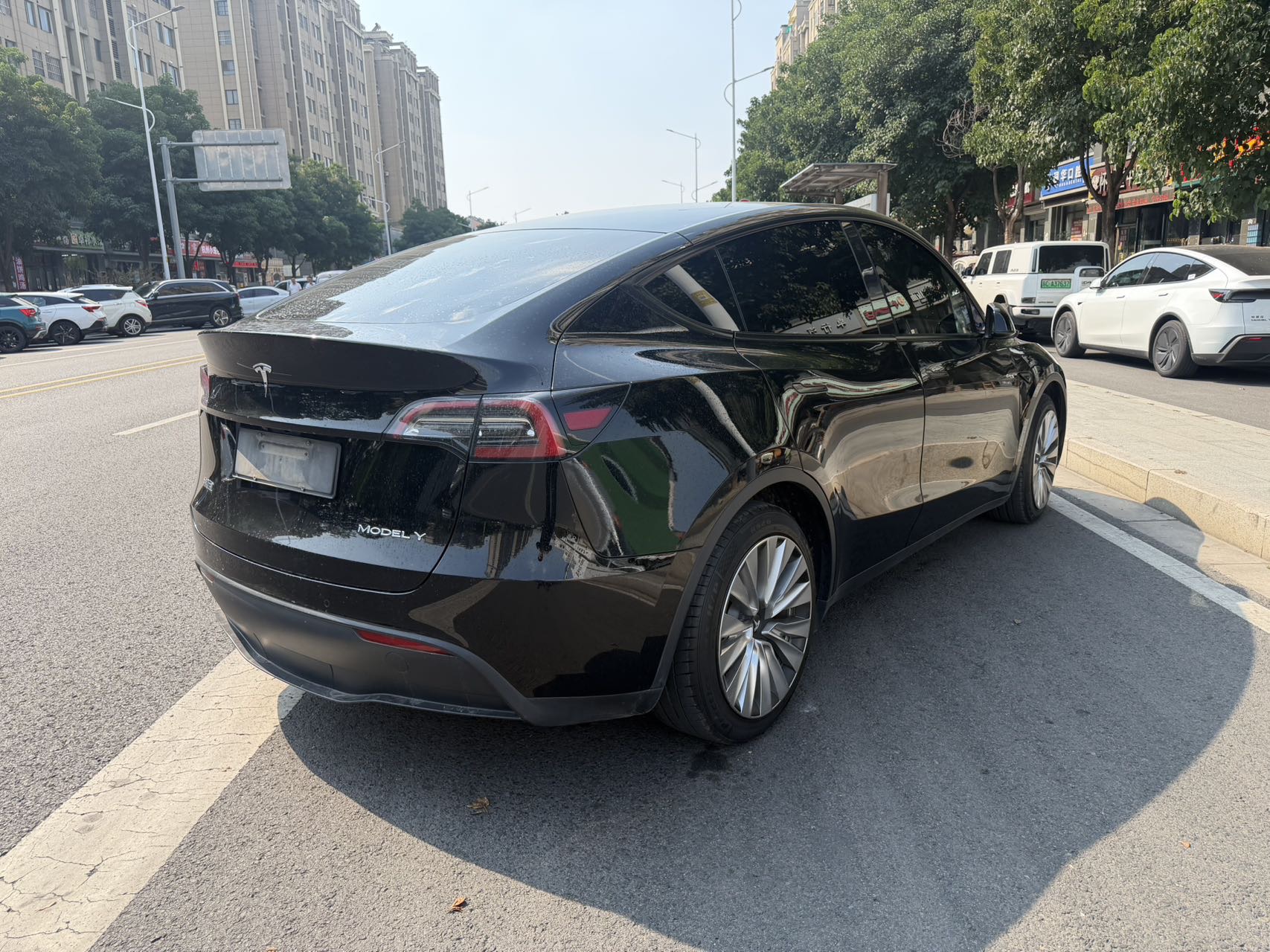 Tesla Model Y 2022 #4 Tesla Model Y 2022 car image #4