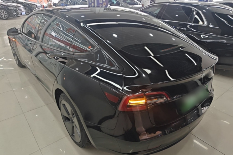 Tesla Model 3 2021 #7 Tesla Model 3 2021 car image #7