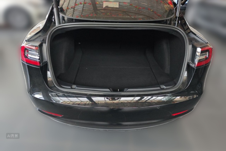 Tesla Model 3 2021 car image #21