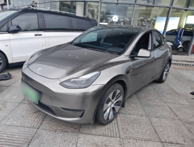 Tesla Model Y 2021 car image 