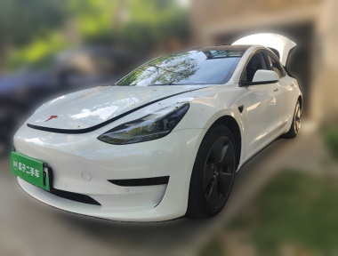 Tesla Model 3 2021 Tesla Model 3 2021 car image