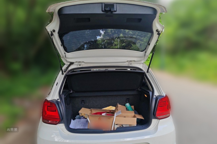 Volkswagen Polo 2015 car image #21