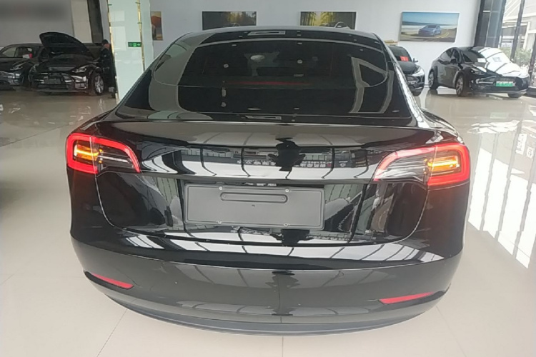 Tesla Model 3 2023 #6 Tesla Model 3 2023 car image #6
