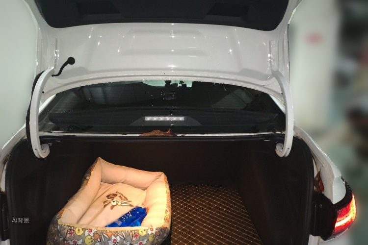 Volkswagen Lavida 2025 car image #21