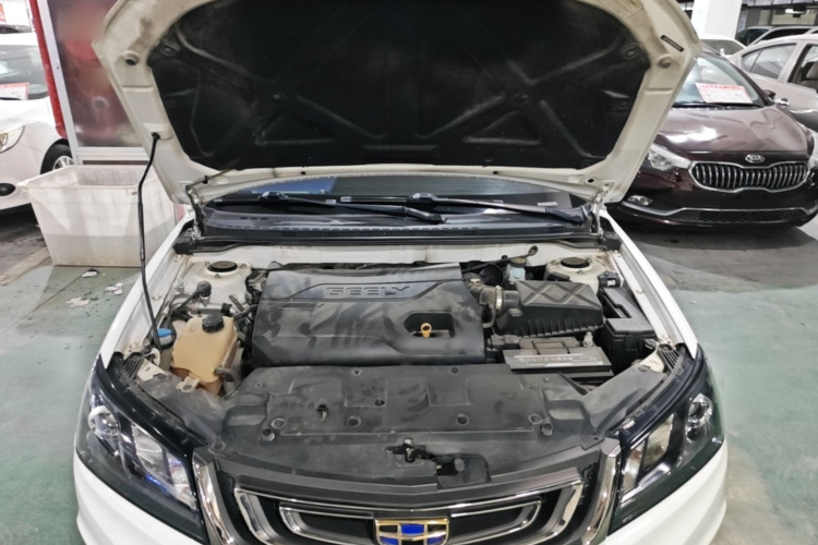 GEELY Emgrand 2017 immagine di auto #20