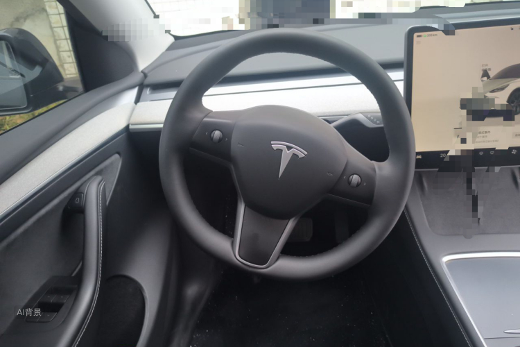 Tesla Model Y 2024 car image #12