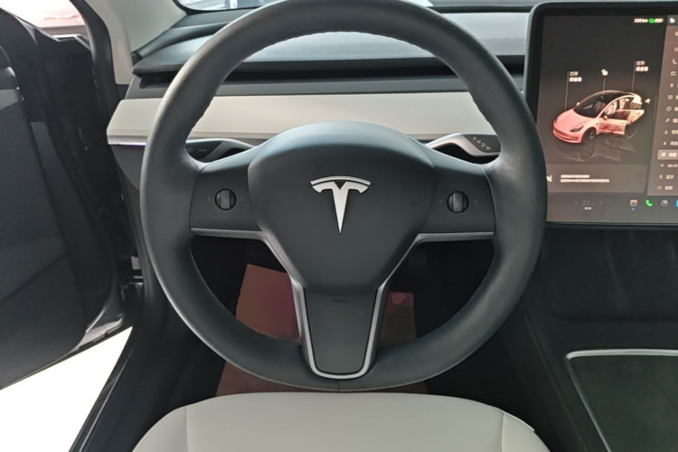 Tesla Model 3 2022 #15 Tesla Model 3 2022 car image #15