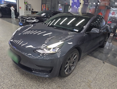 Tesla Model 3 2021 Tesla Model 3 2021 immagine di auto