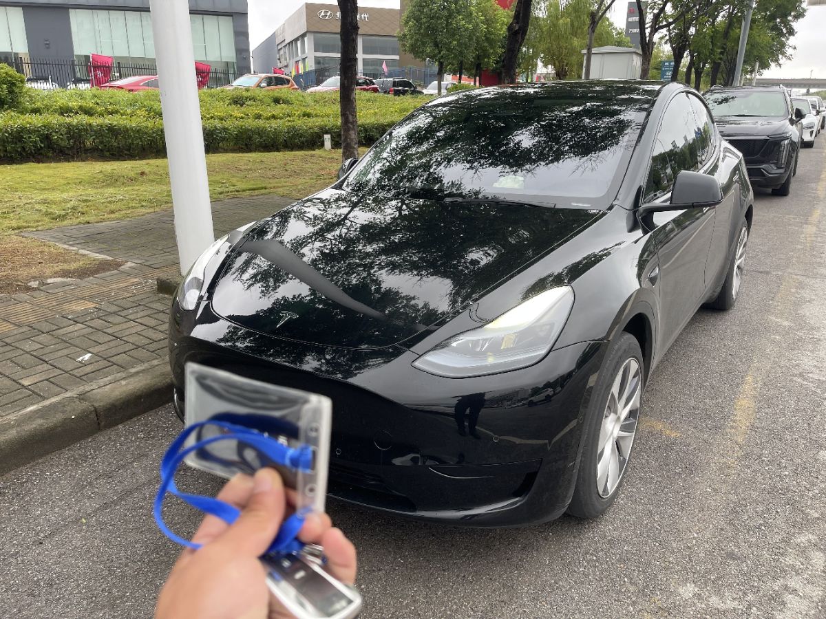 Tesla Model Y 2023 car image 