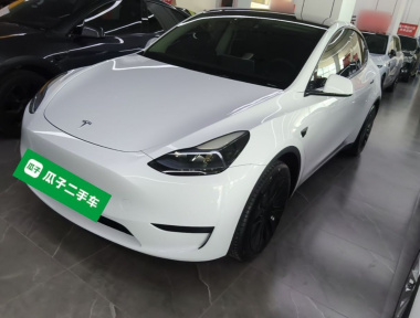 Tesla Model Y 2023 car image 