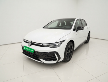 Volkswagen Golf 2024 car image 