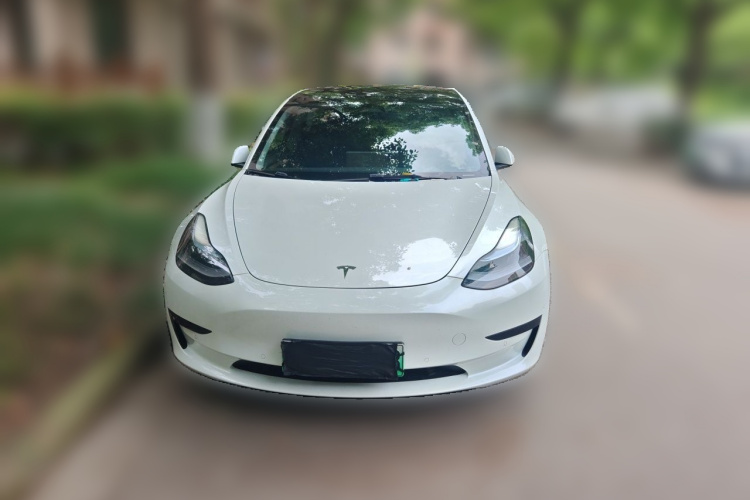 Tesla Model 3 2022 #3 Tesla Model 3 2022 car image #3