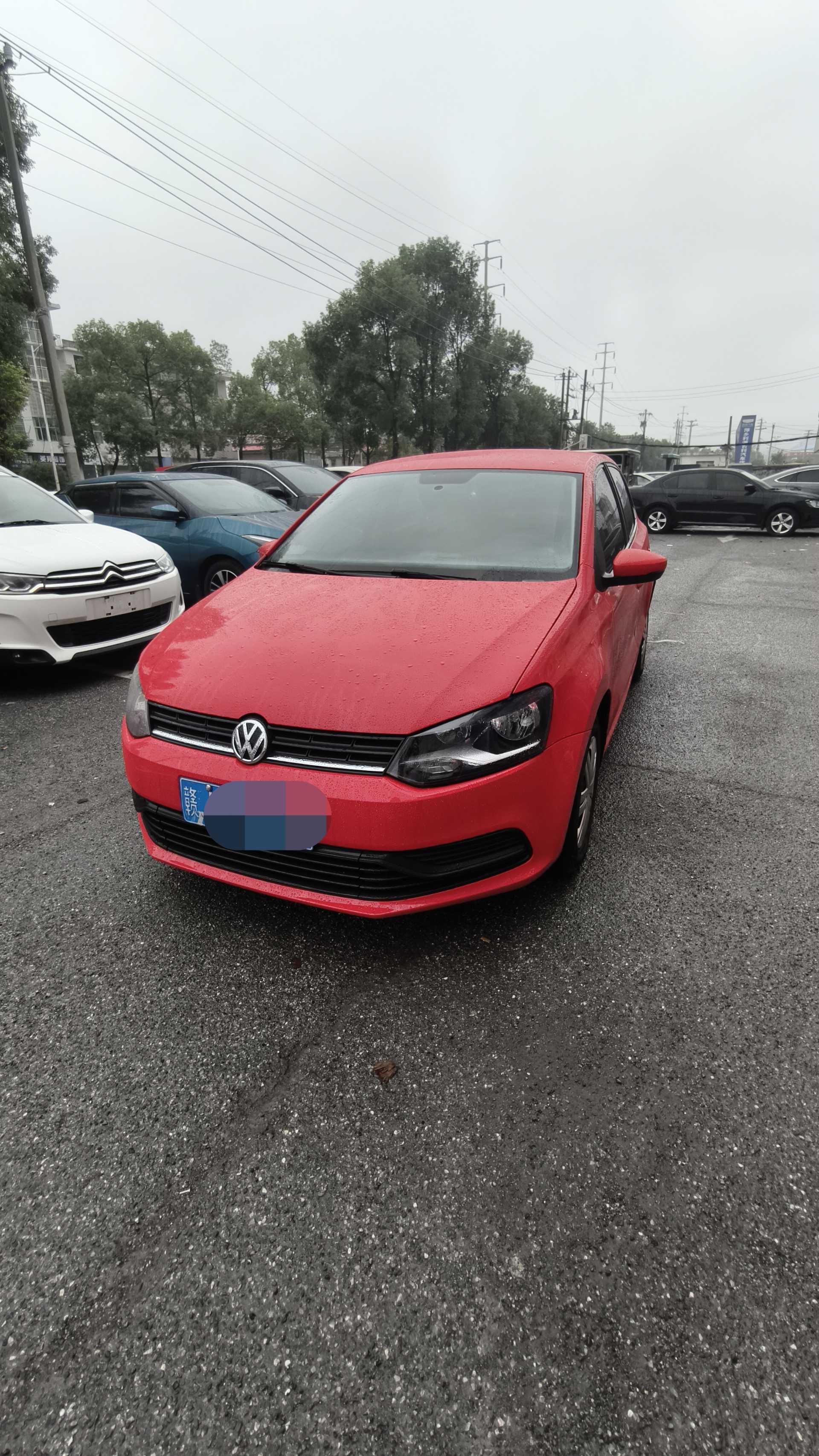 Volkswagen Polo 2016 Volkswagen Polo 2016 car image