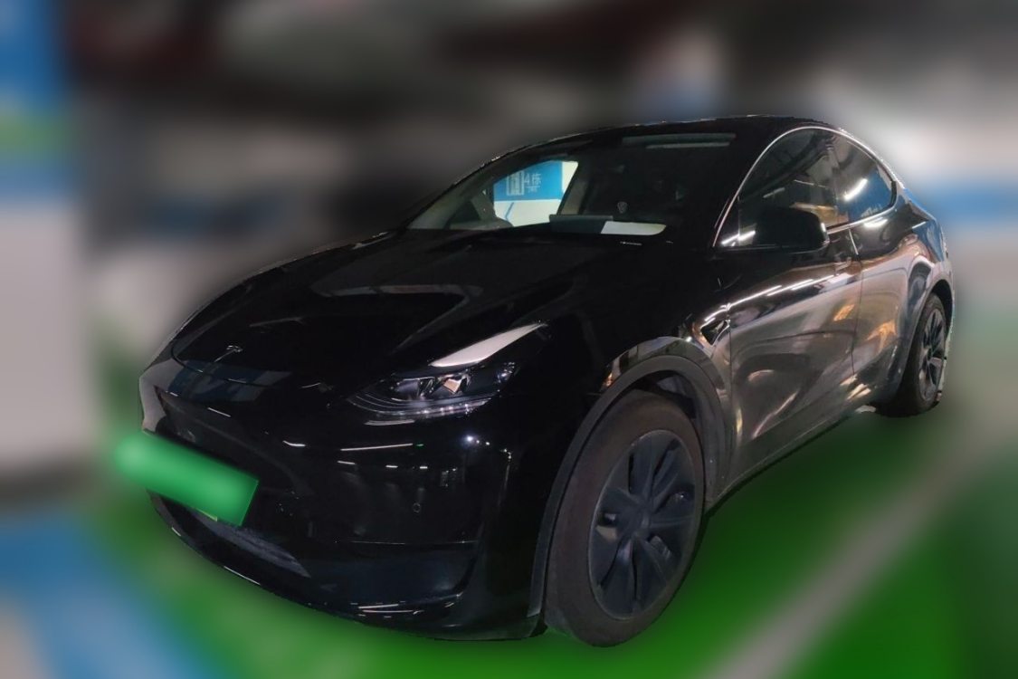Tesla Model Y 2023 Tesla Model Y 2023 car image